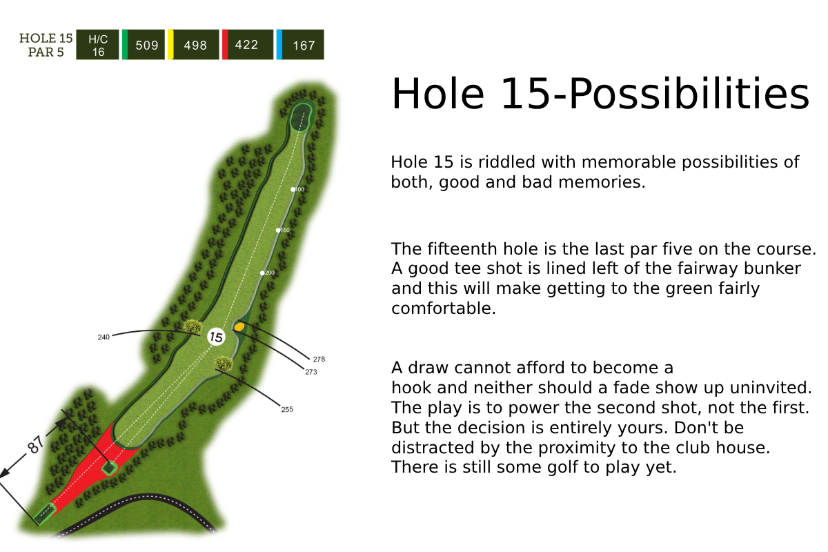 Hole 15 Layout