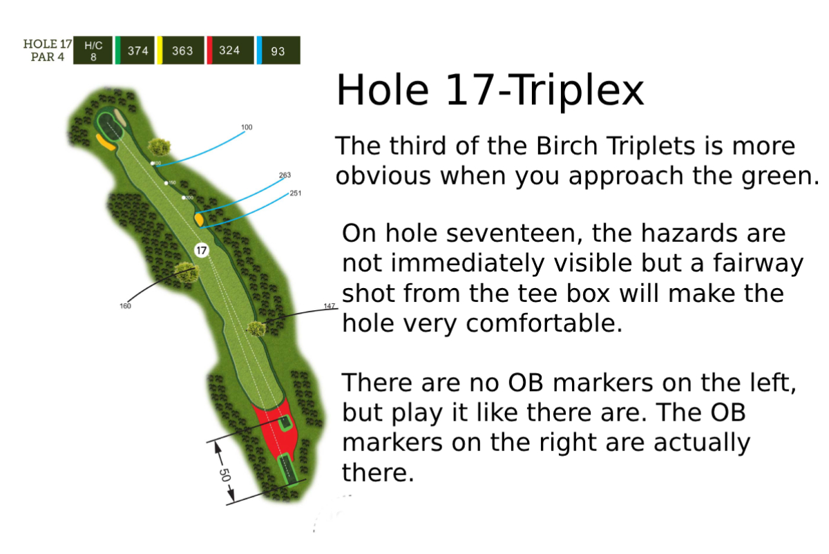 Hole 17 Layout
