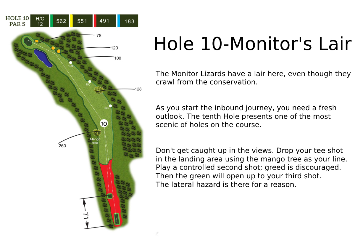 Hole 10 Layout