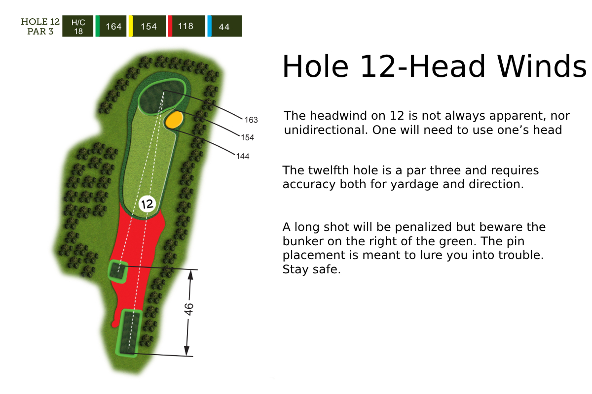 Hole 12 Layout