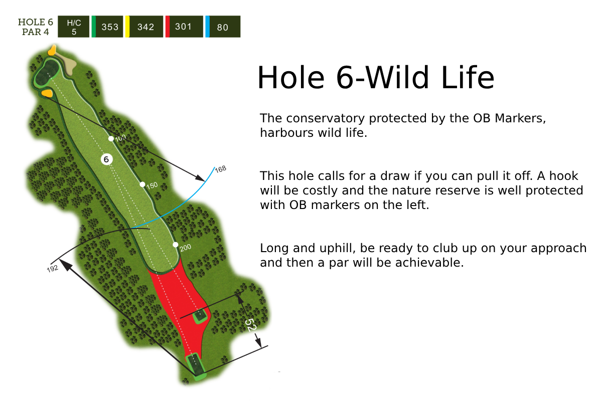 Hole 6 Layout